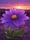 Ephemeral Words of Eternal Love
